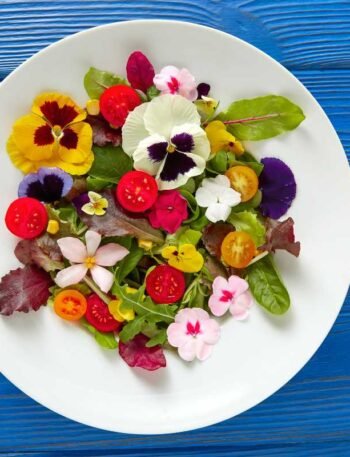 Flores que São Comestíveis e Você Não Sabia