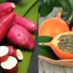 Suco de Batata Doce com Maracujá